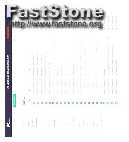 Mspy Support Phone Number